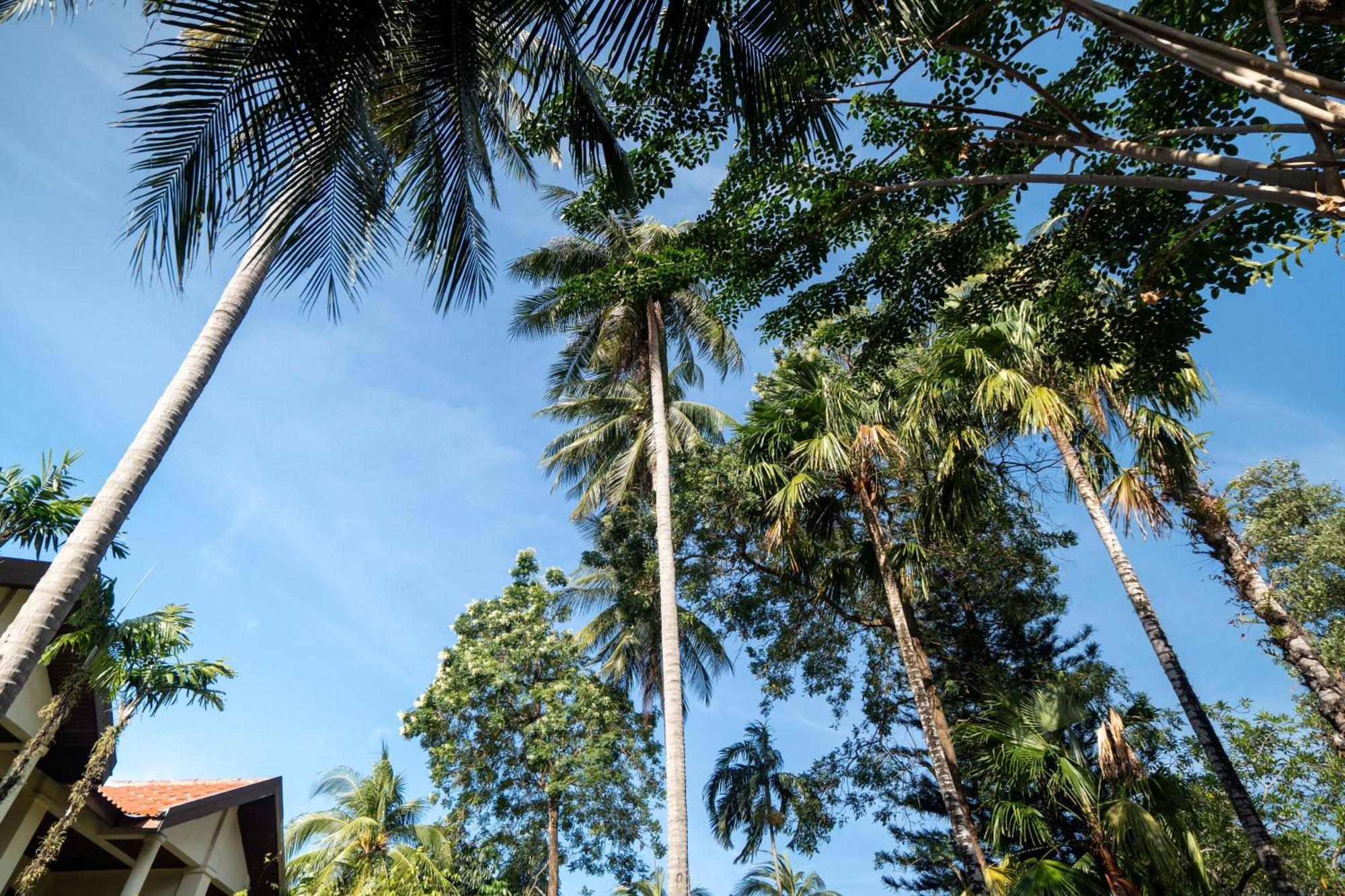 Phuket Leelavadee Hua Ting Resort Patong Exteriér fotografie